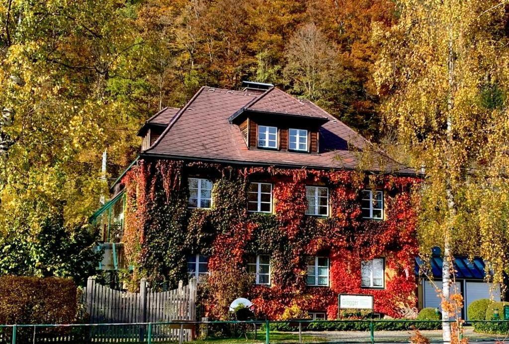 Gaestehaus Grogger Weyer Markt Kültér fotó