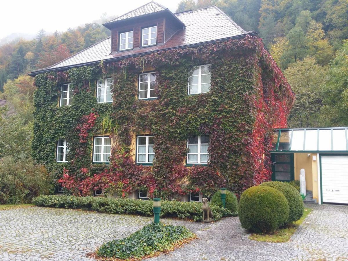 Gaestehaus Grogger Weyer Markt Kültér fotó
