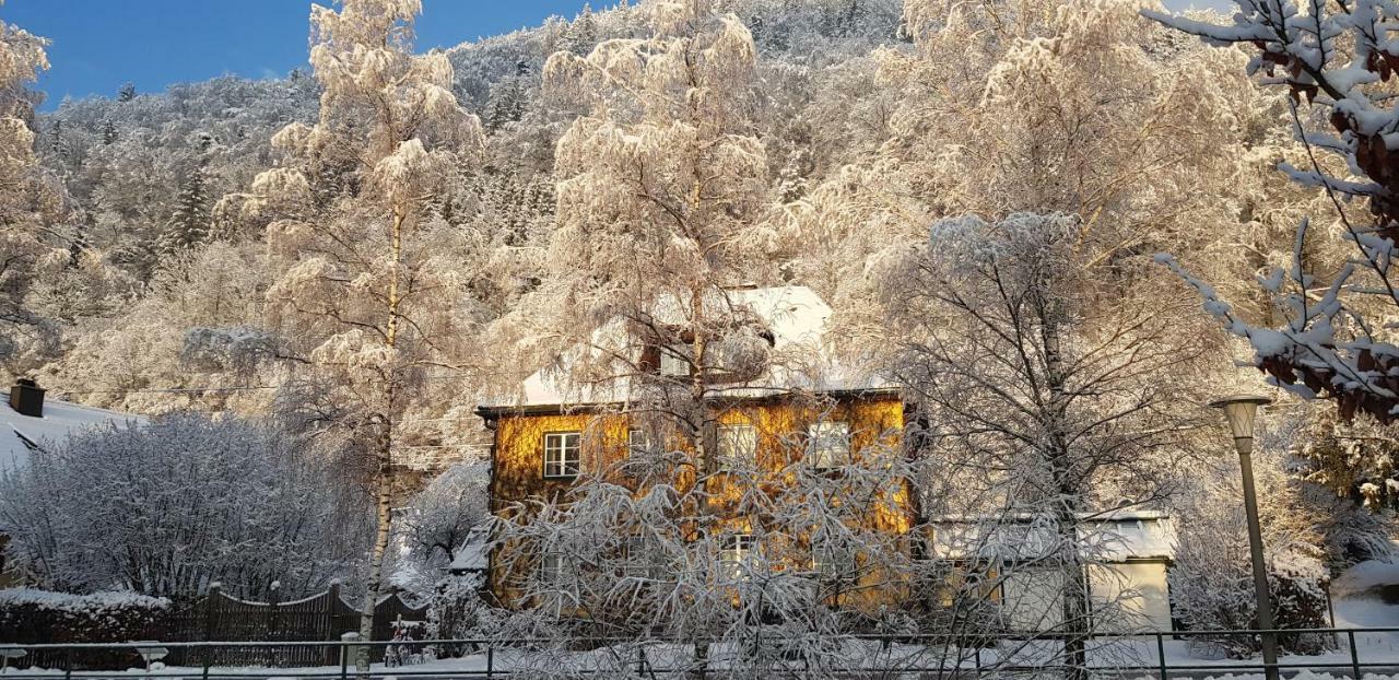 Gaestehaus Grogger Weyer Markt Kültér fotó
